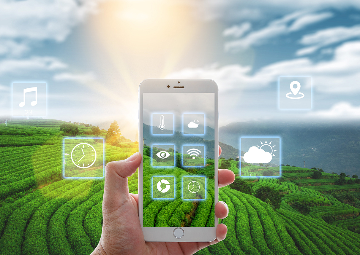 深挖乡村产业治理与服务 永乐高系统为数字乡村发展提供持续动力